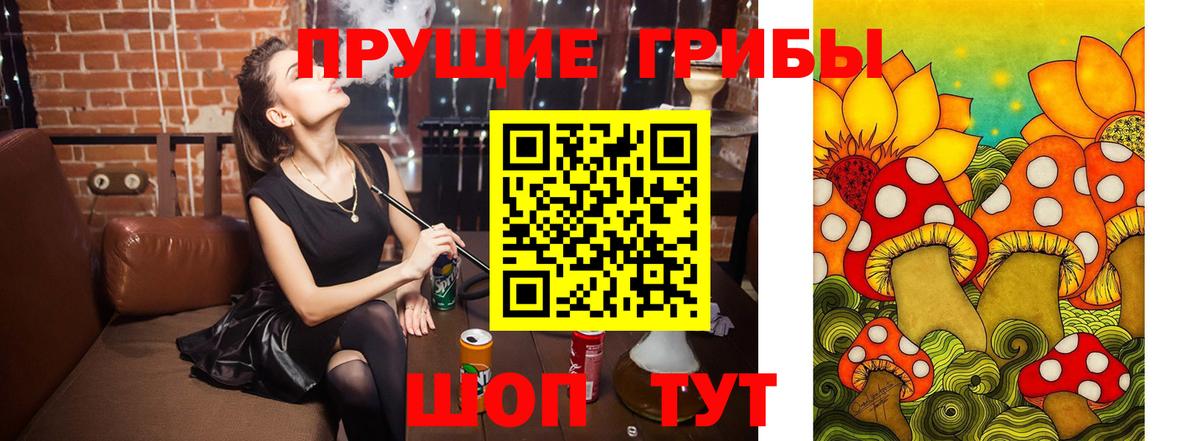 Галлюциногенные грибы MAGIC MUSHROOMS  Вход с VPN  Бугуруслан 
