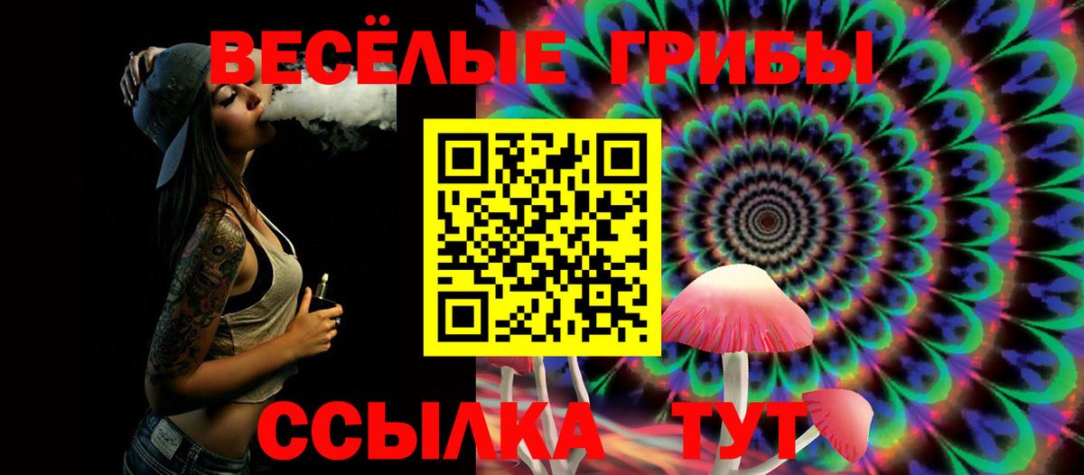 Псилоцибиновые грибы Cubensis Бугуруслан